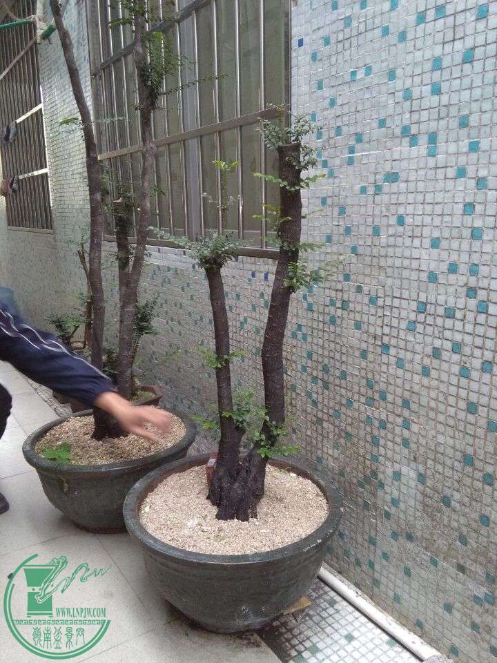 QQͼƬ20151224105519.jpg