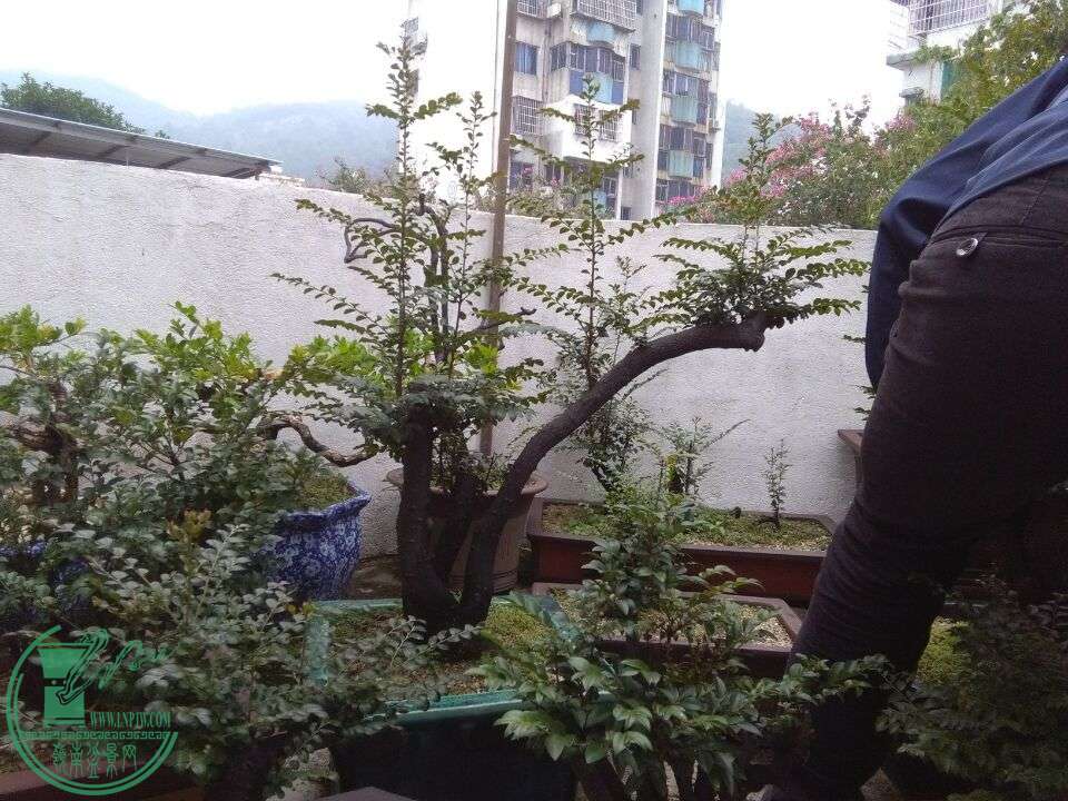 QQͼƬ20151224105522.jpg