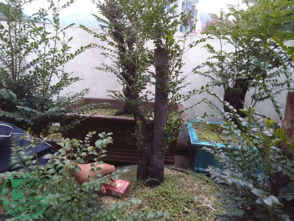 QQͼƬ20151224105526.jpg