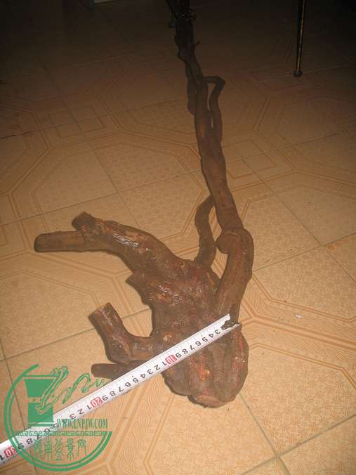 040.JPG