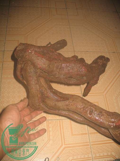 041.JPG