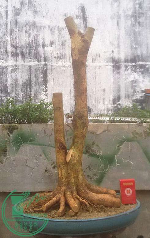 5_.jpg