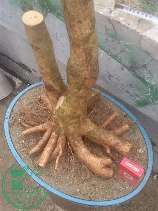 9_.jpg