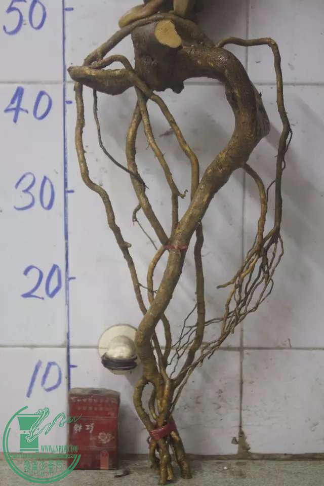 psb (7).jpg