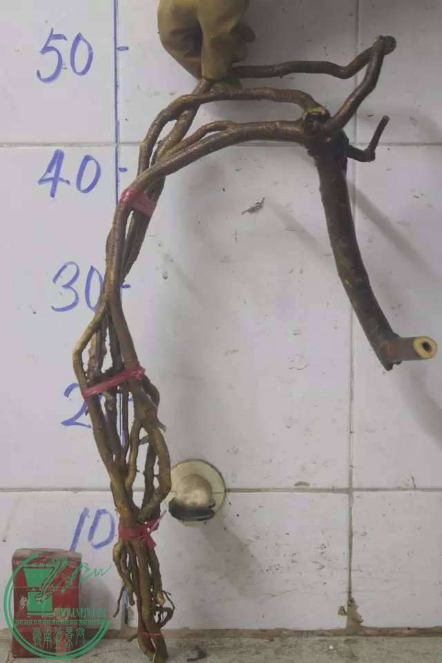 psb (9).jpg