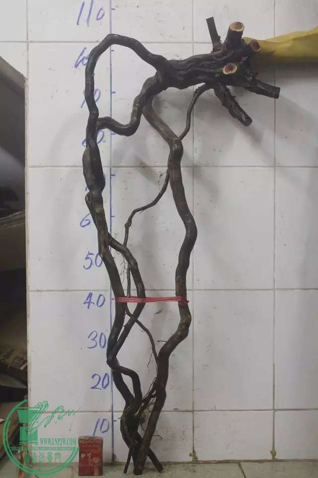psb (2).jpg