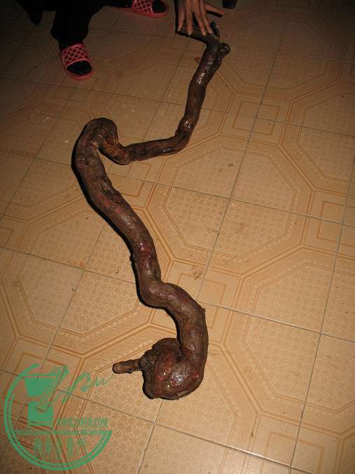 011.JPG
