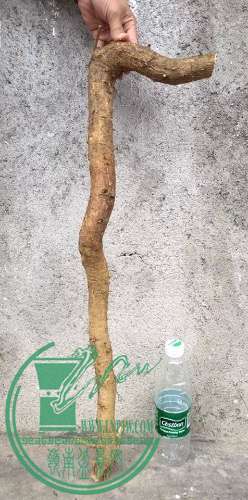 image.jpeg
