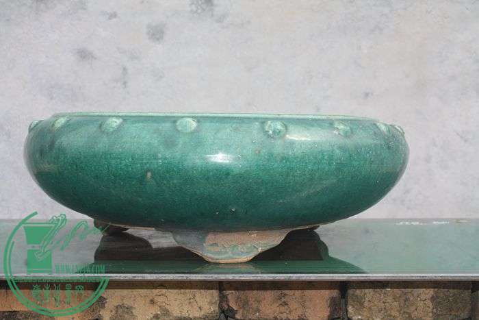 Ƭ20131026ۺ 2152.jpg