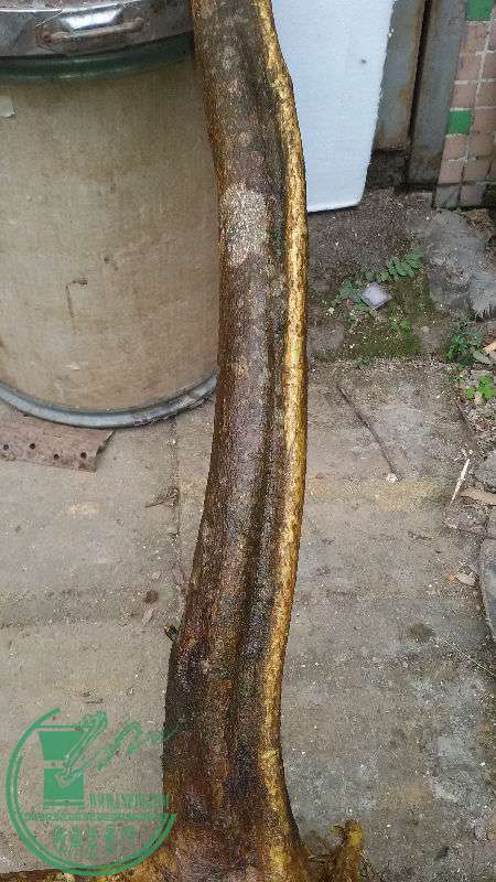 720973