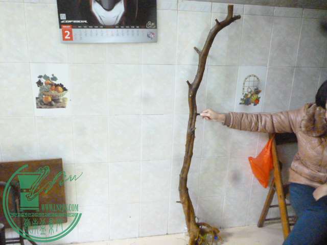 P1150604.JPG