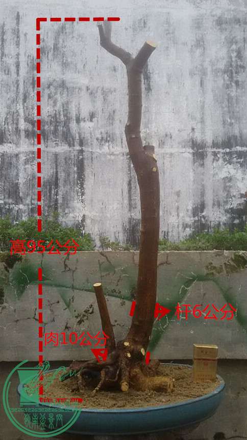 9_1.jpg