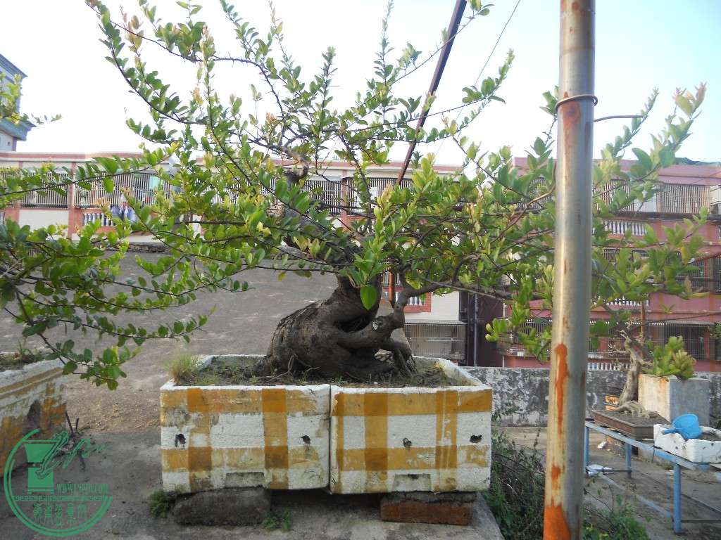 8.JPG