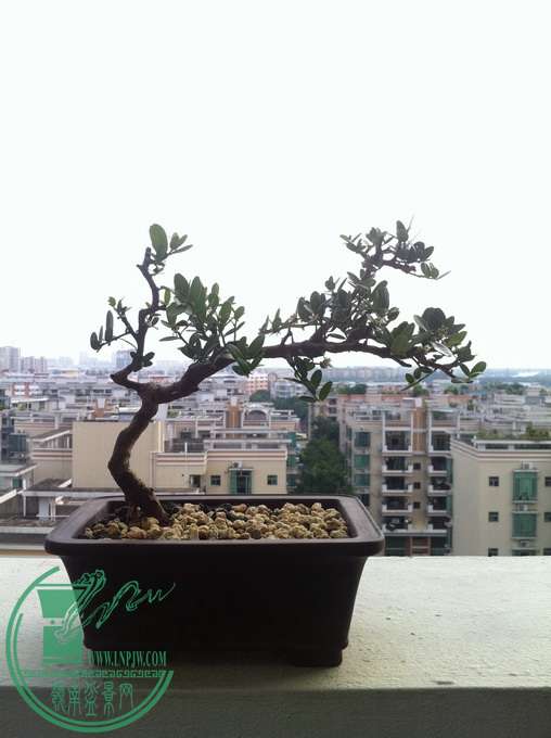 бɽԭࣨ2013-8-28.jpg