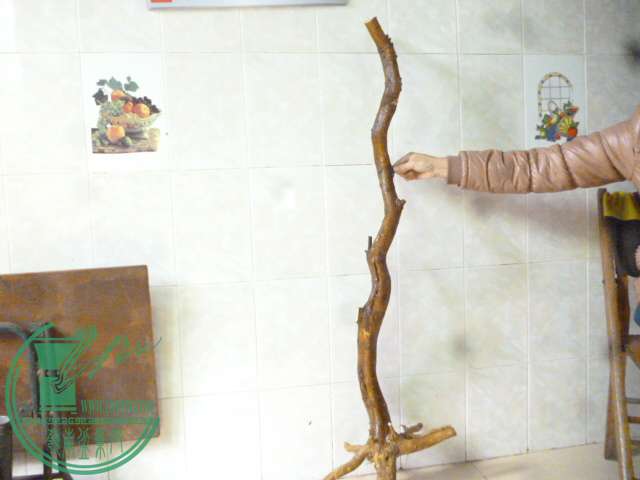 P1150653.JPG