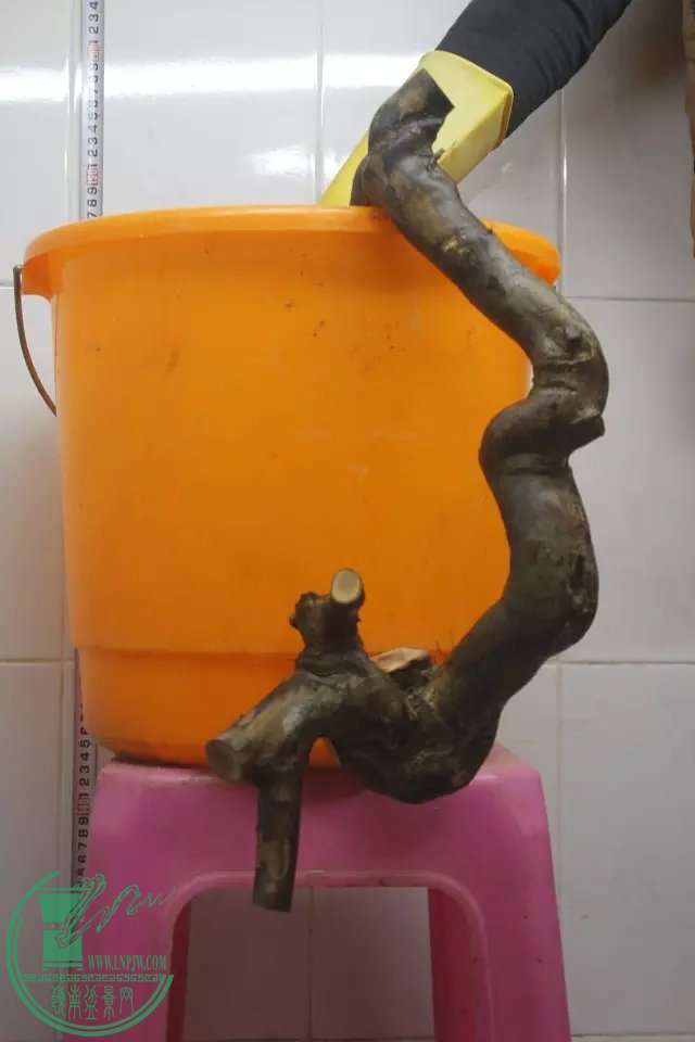 psb (13).jpg