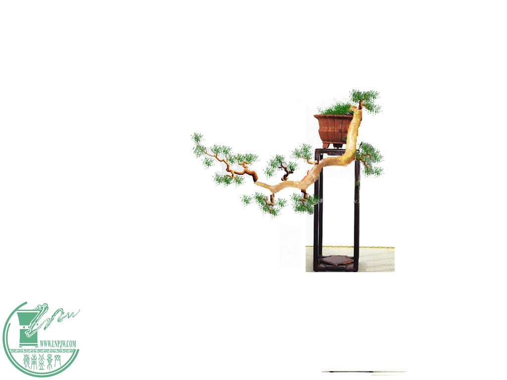 P1150676__.jpg
