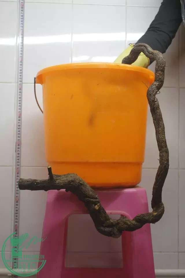 psb (8).jpg