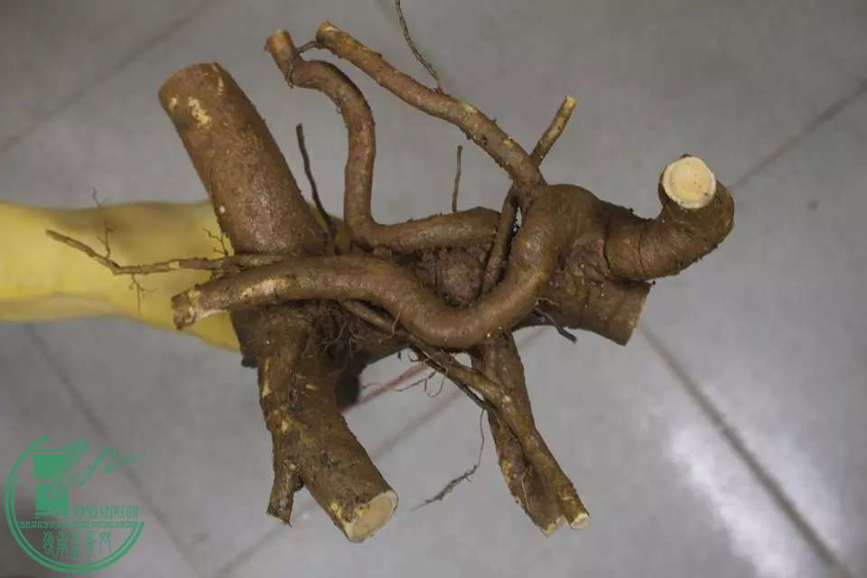 psb (27).jpg