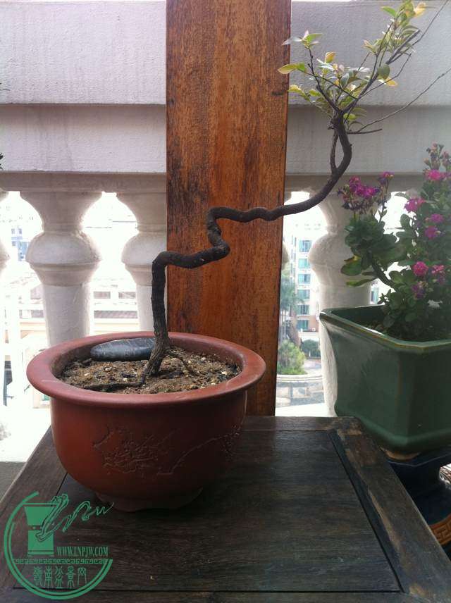 2013-3-21С2.JPG