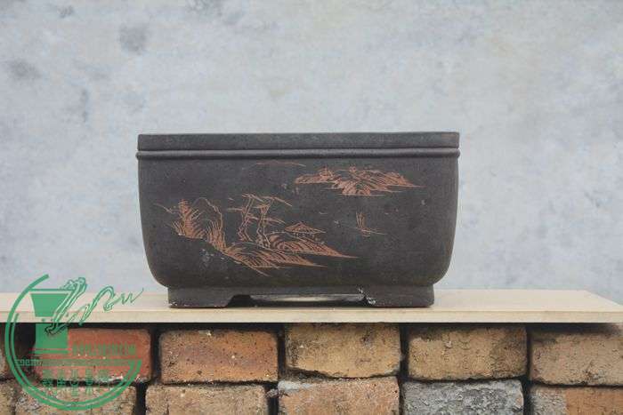 Ƭ20131026ۺ 3391.jpg