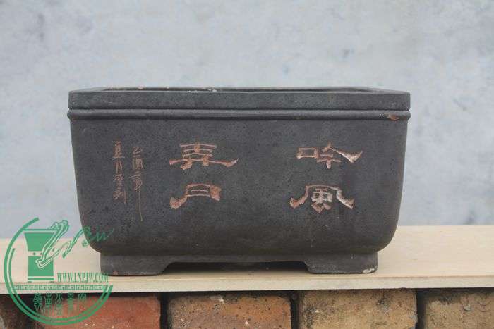Ƭ20131026ۺ 3394.jpg