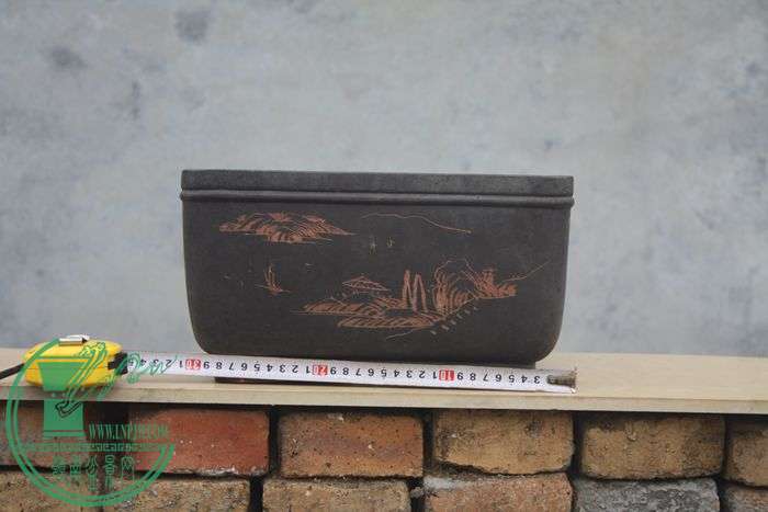 Ƭ20131026ۺ 3395.jpg