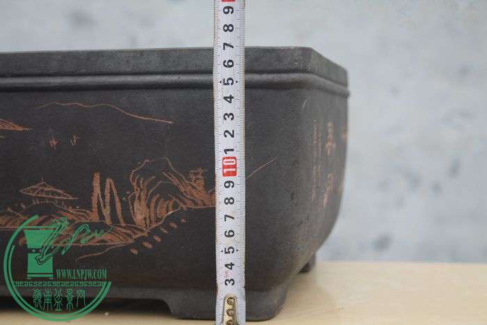 Ƭ20131026ۺ 3396.jpg