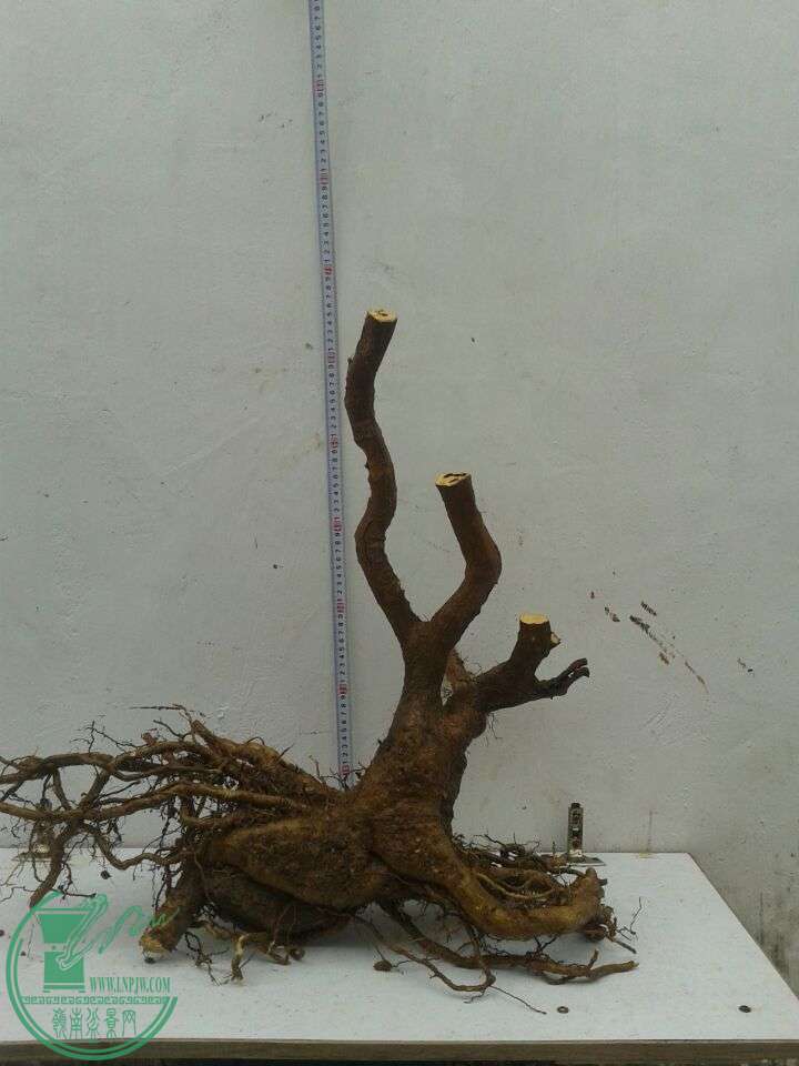 QQͼƬ20151228155425.jpg