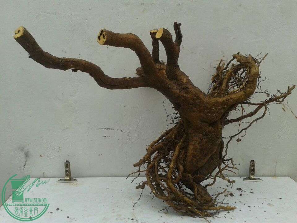 QQͼƬ20151228155501.jpg