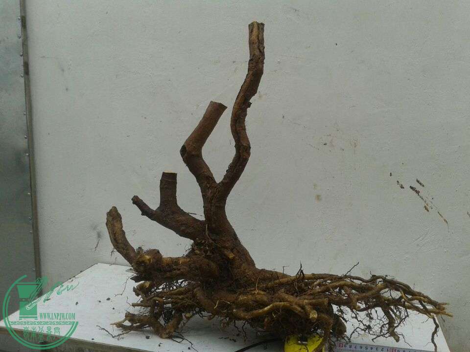 QQͼƬ20151228155515.jpg