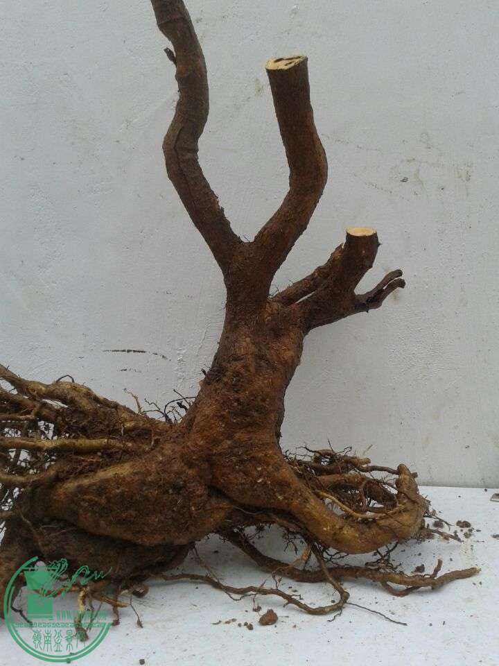 QQͼƬ20151228155520.jpg