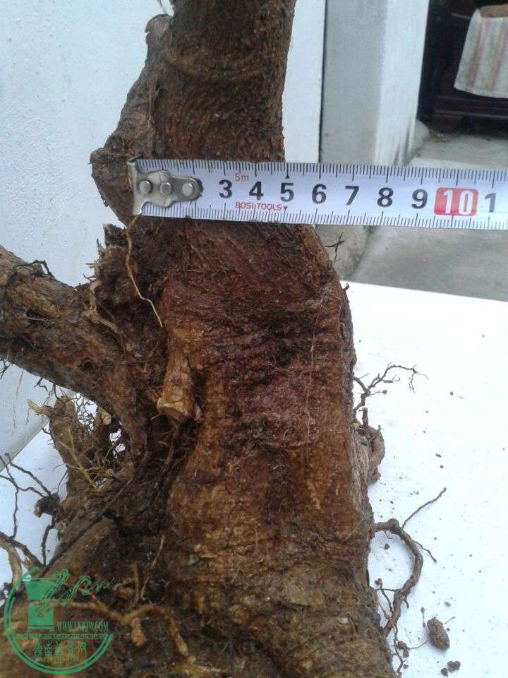 QQͼƬ20151228155510.jpg