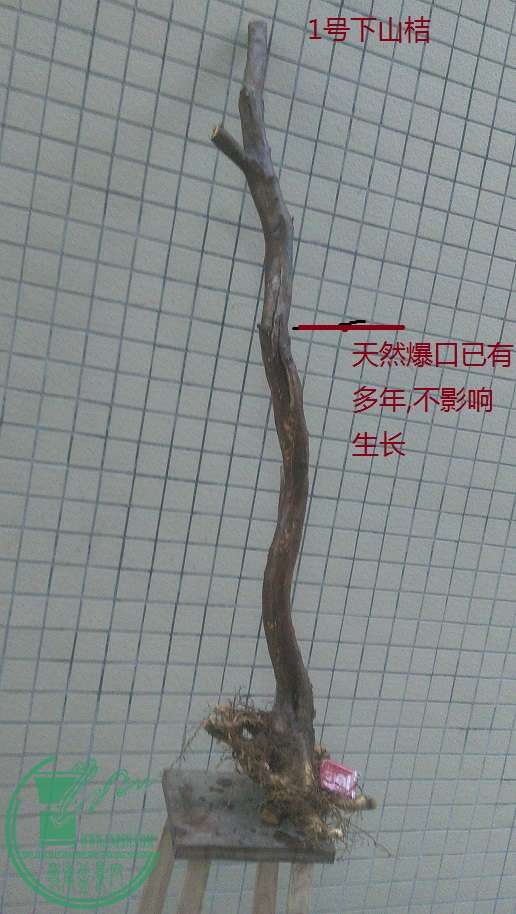 QQͼƬ20151229194848.jpg