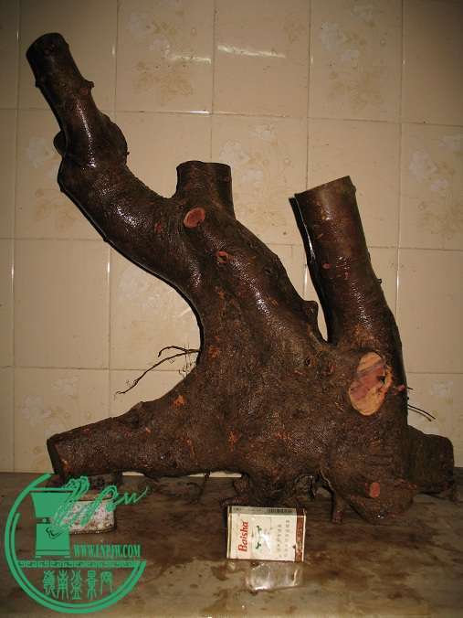 030.JPG