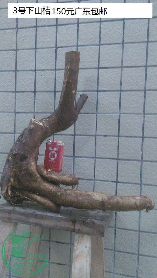 QQͼƬ20151229194942.jpg