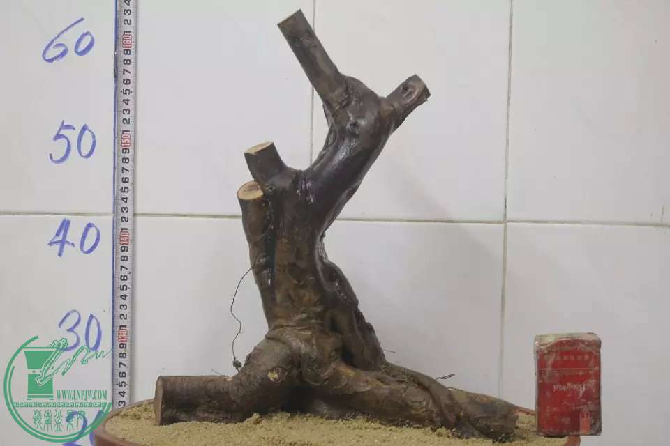 psb (3).jpg
