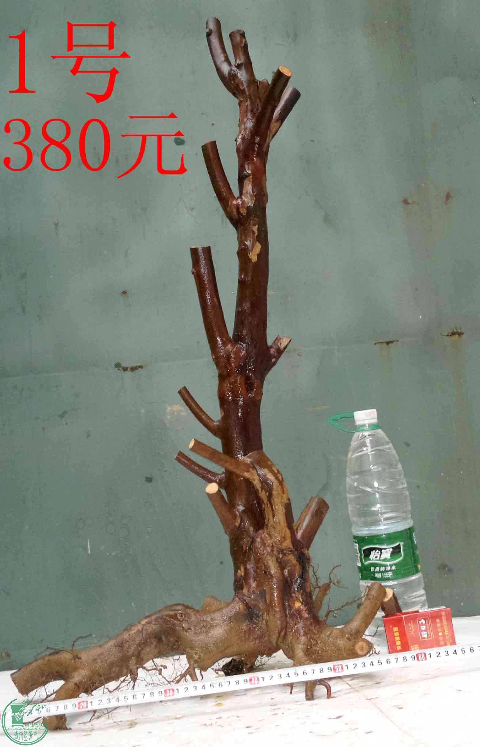 201512296379.jpg