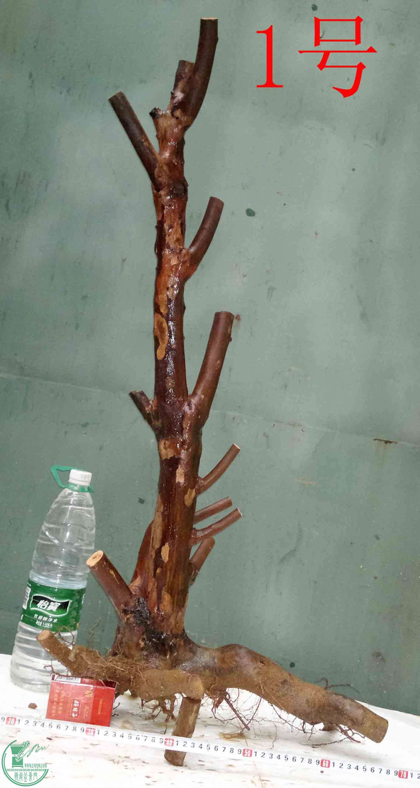 201512296394.jpg
