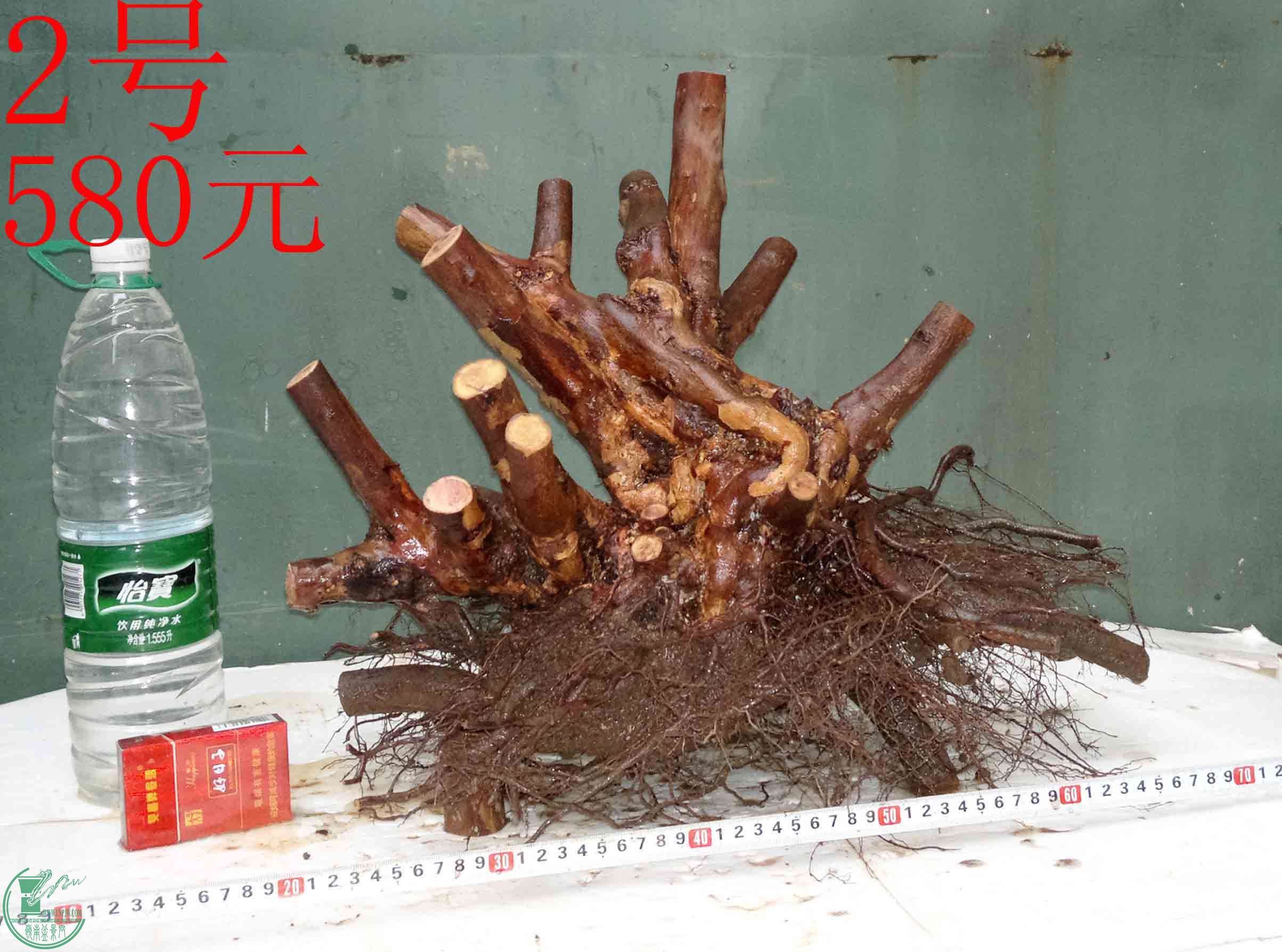 201512296416.jpg