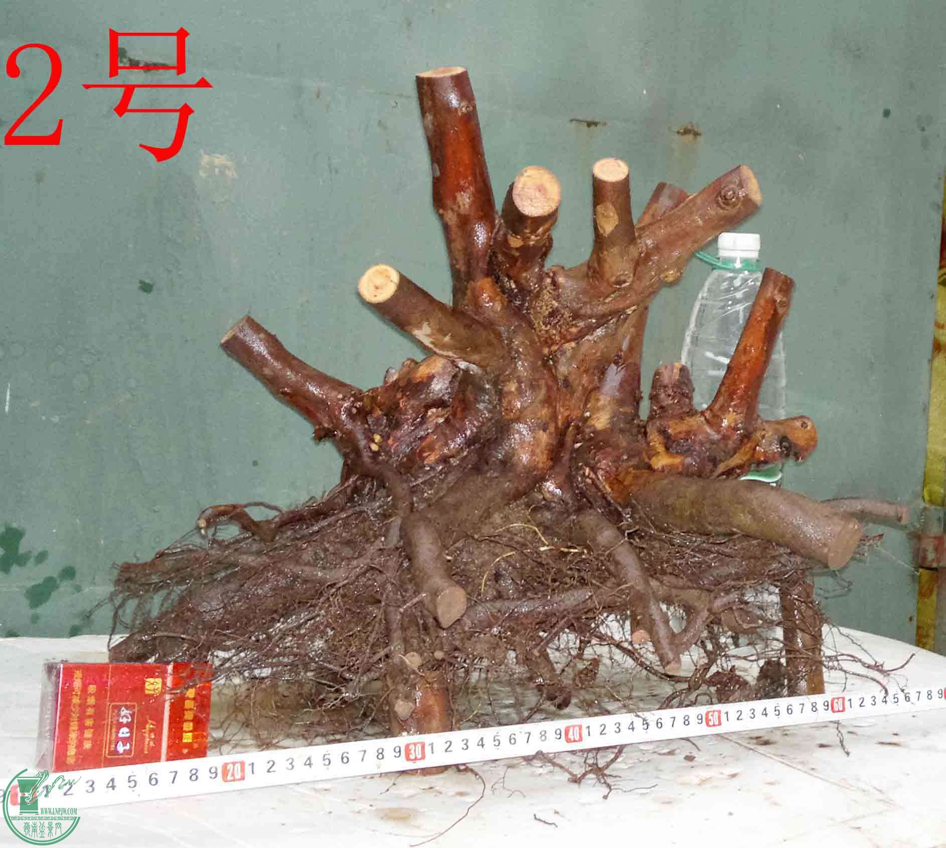 201512296454.jpg