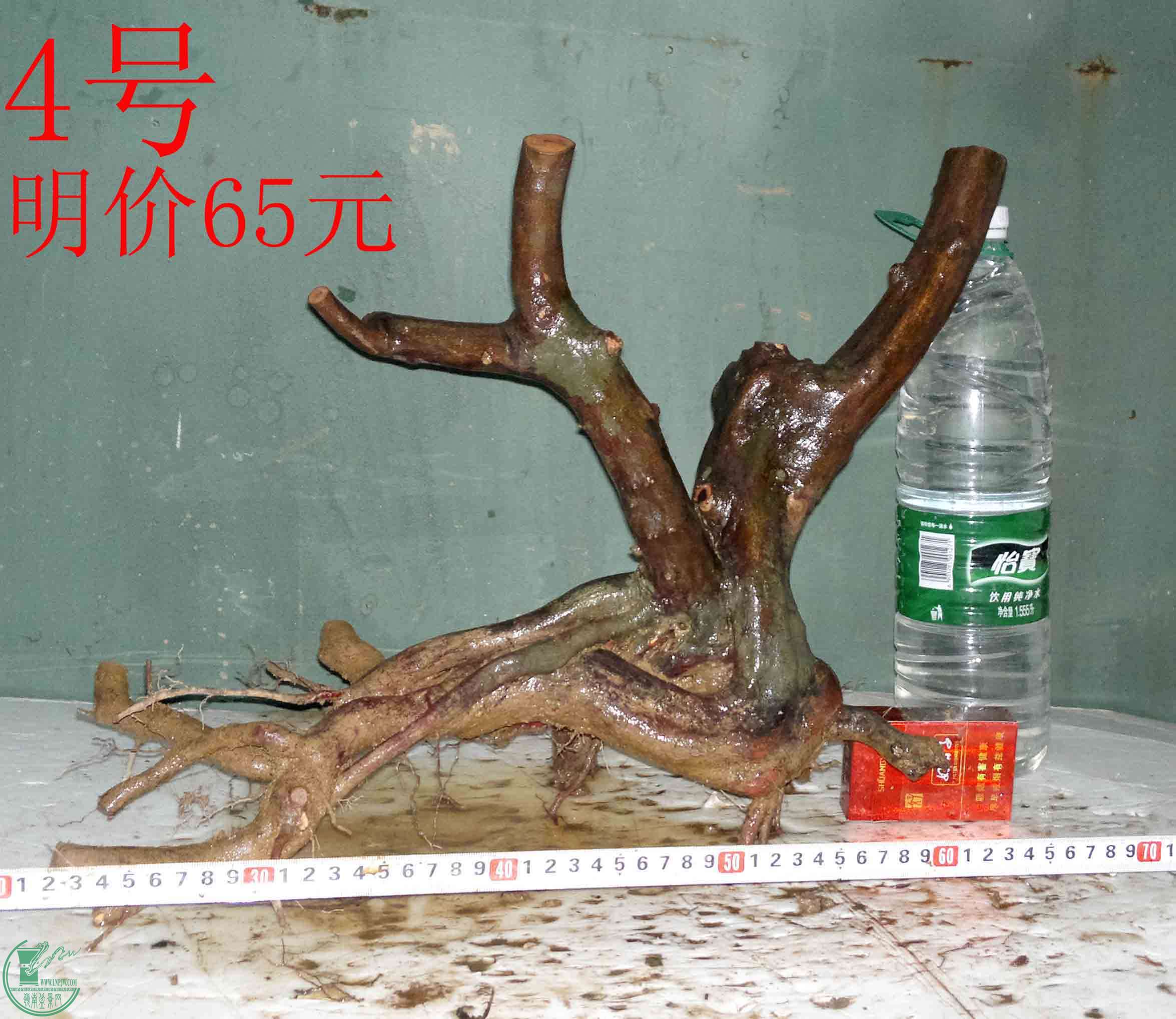 201512296556.jpg