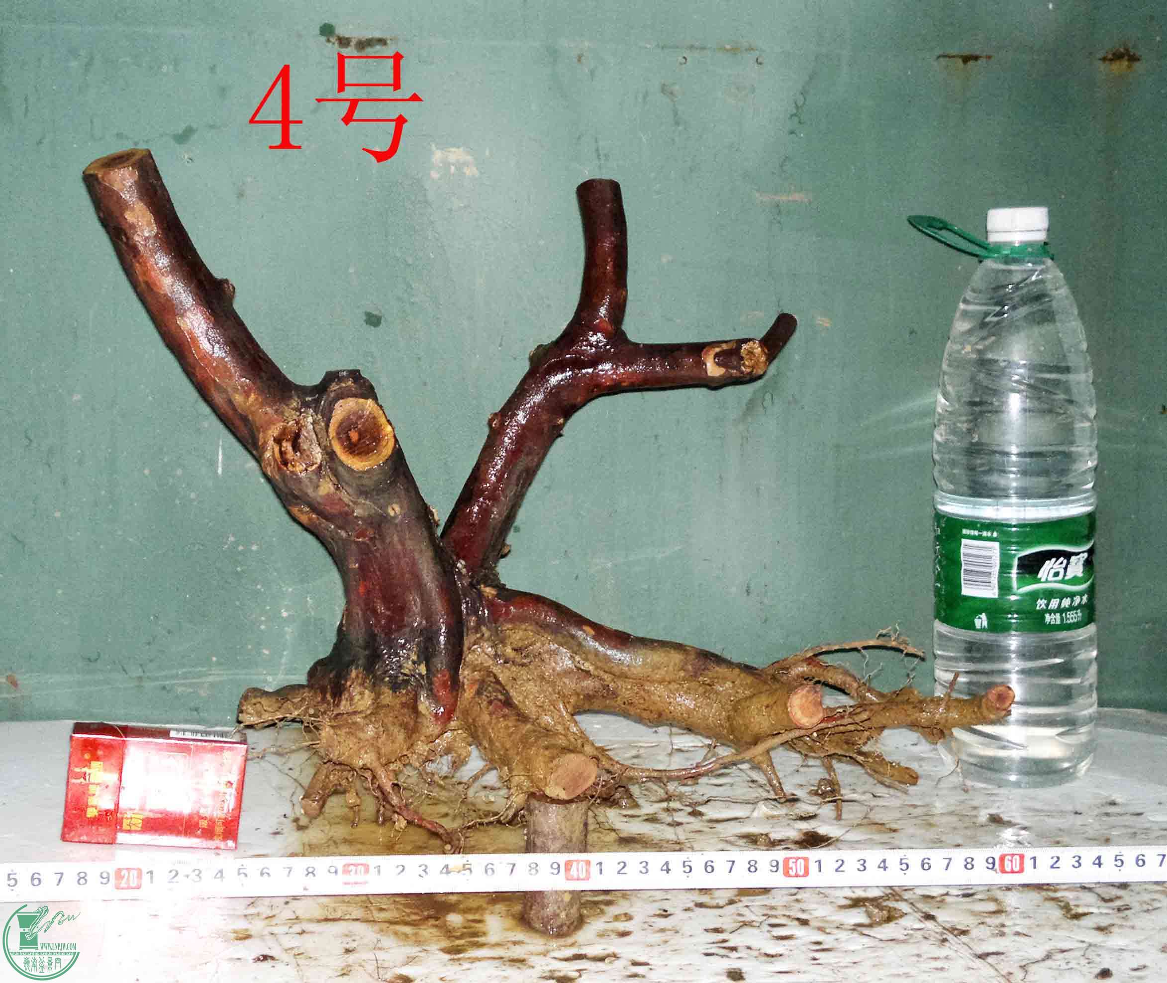 201512296565.jpg