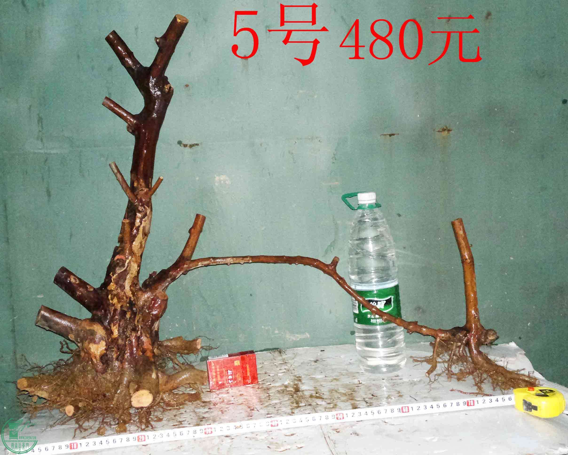 201512296580.jpg
