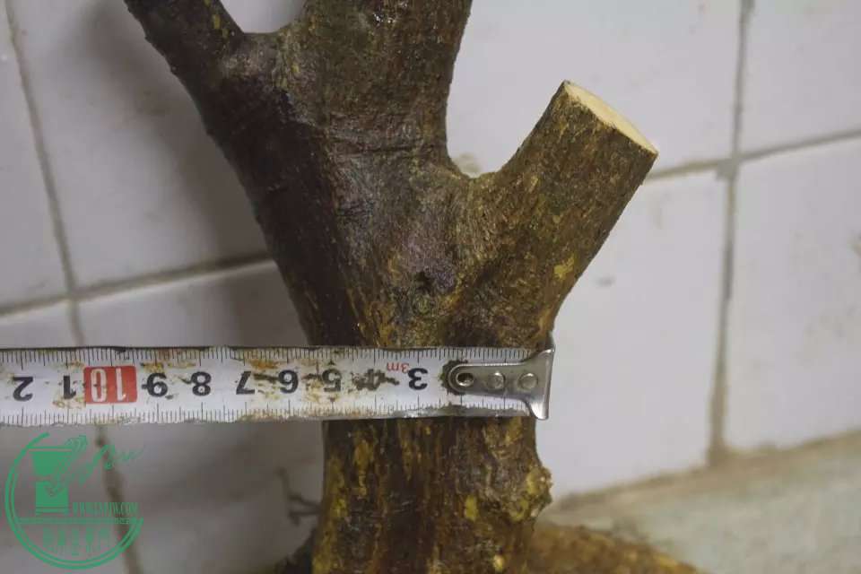 psb (13).jpg