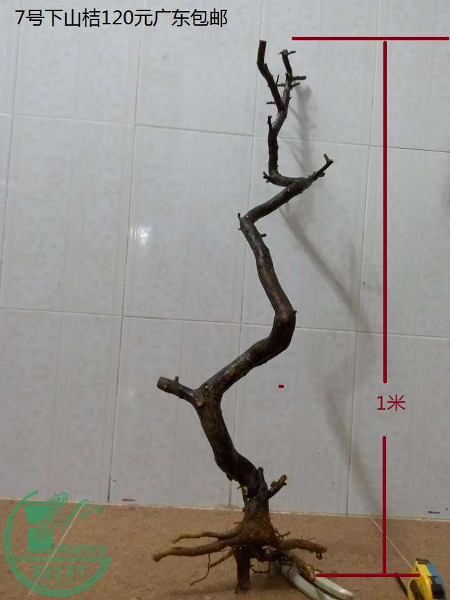 QQͼƬ20151229212713.jpg