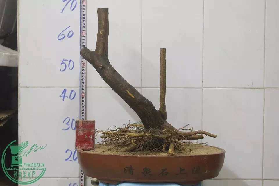 psb (4).jpg