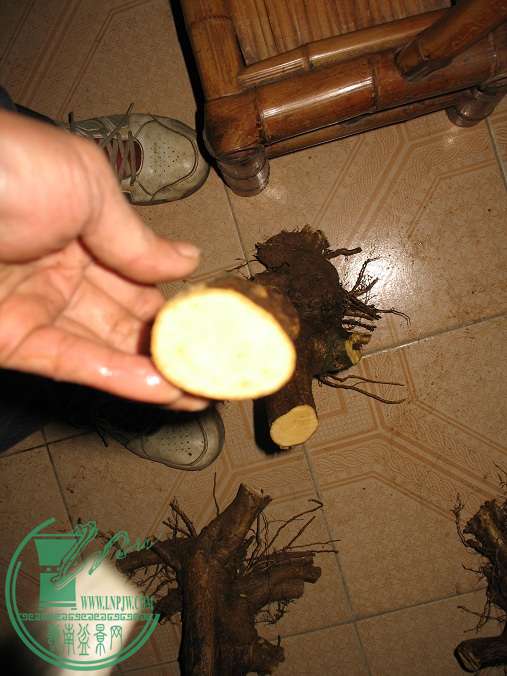 025.JPG