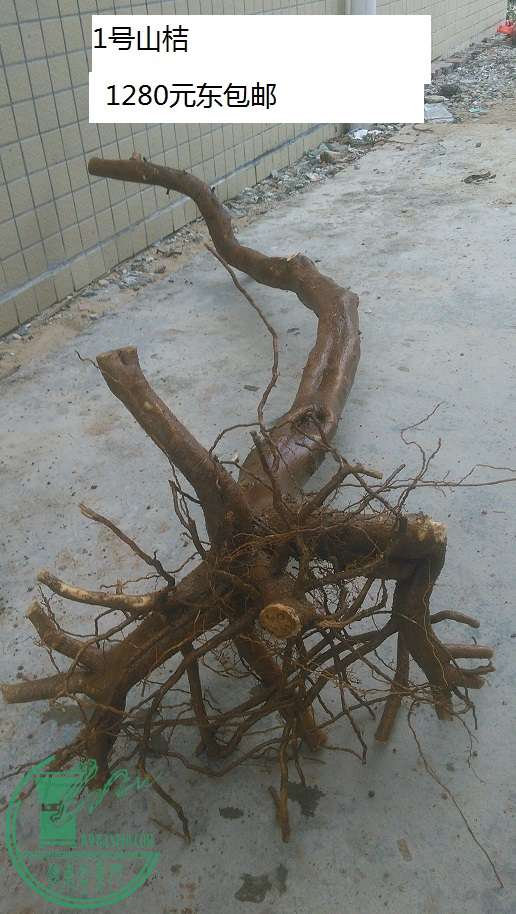 QQͼƬ20151230211503.jpg