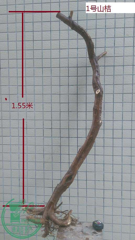 QQͼƬ20151230211611.jpg